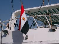 ���� ������