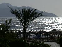 ����� ������� ������