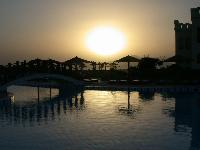 ������  ������ ������