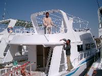 ������ ������