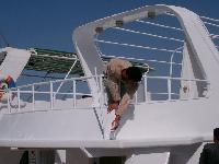 �������� ������