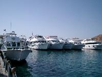 ������ � ����� ����-���-�����