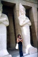 ���� ���������