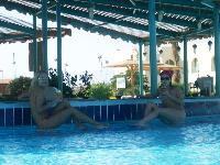 � ���� � ��������. Desert rose