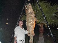 ���� ���