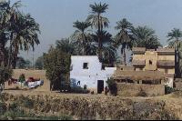 ���� ������