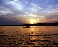 ������ �������� ����