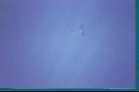 ����-�����