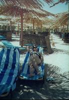 �12 �������, ����� ����, 2001 �.