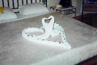 �22 �������, ������ ����, 2001 �.