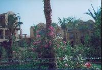 �25 �������, ������ ����, 2001 �.