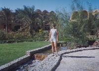 �36 �������, ������ ����, 2002 �.