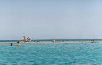 �47 �������, ������ ����, 2002 �.