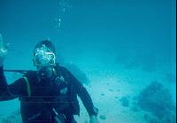 �59 �������, ����� �����, 2003 �.