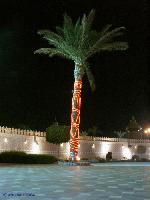 � ��� ��� �������� �� �������� � ��� ������...