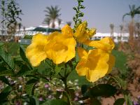 ����� � ����� ���