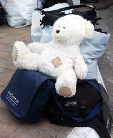 ���������� ����������