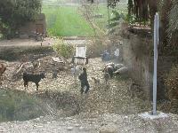 002 - ���� � �������� "����������� ������ �����������"