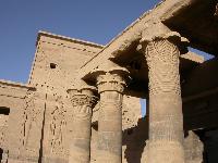 020 - ���� � �������� "����������� ������ �����������"