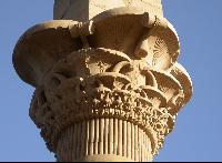 022 - ���� � �������� "����������� ������ �����������"