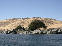 024 - ���� � �������� "����������� ������ �����������"