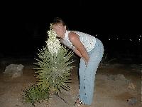 Coral Beach �������