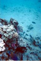 �������� (�������� ���� � ����)