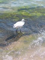 ���������!