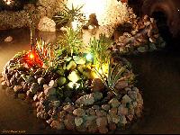 ���� ������ ������