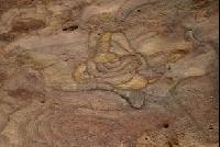 ���� �������