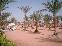 ���� � ����� ���