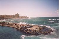 #10_Alexandria