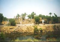 ����� ������