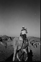 � ������ � ��������