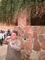 ��������, ������ ����������� ��������