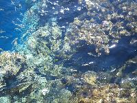 ���� � 10 ������ �� ����� ����� "�������� ���"