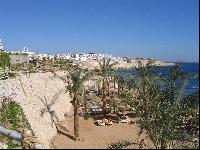 ������ �����