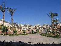 ������ �����