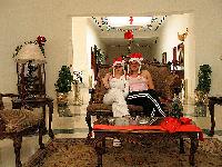 ������ �����. ����� ���.