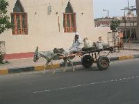 ������������ ������