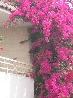 ������, ����� ��������