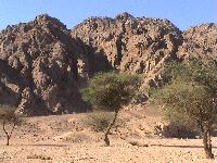 �� ���� � �����