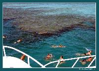 ������ � ����� � �����