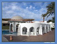 ����� "������� ���"