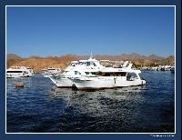 ���� ���� ��� �����