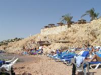 ���� � ���� ����� Hilton Sharks Bay