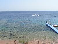 ���� Hilton Sarks Bay