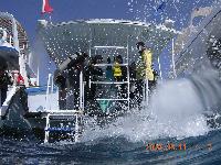 �������������, ���������