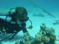 � �������