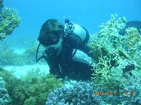 �������:�����, ������, �������-������� ���� �����!!!